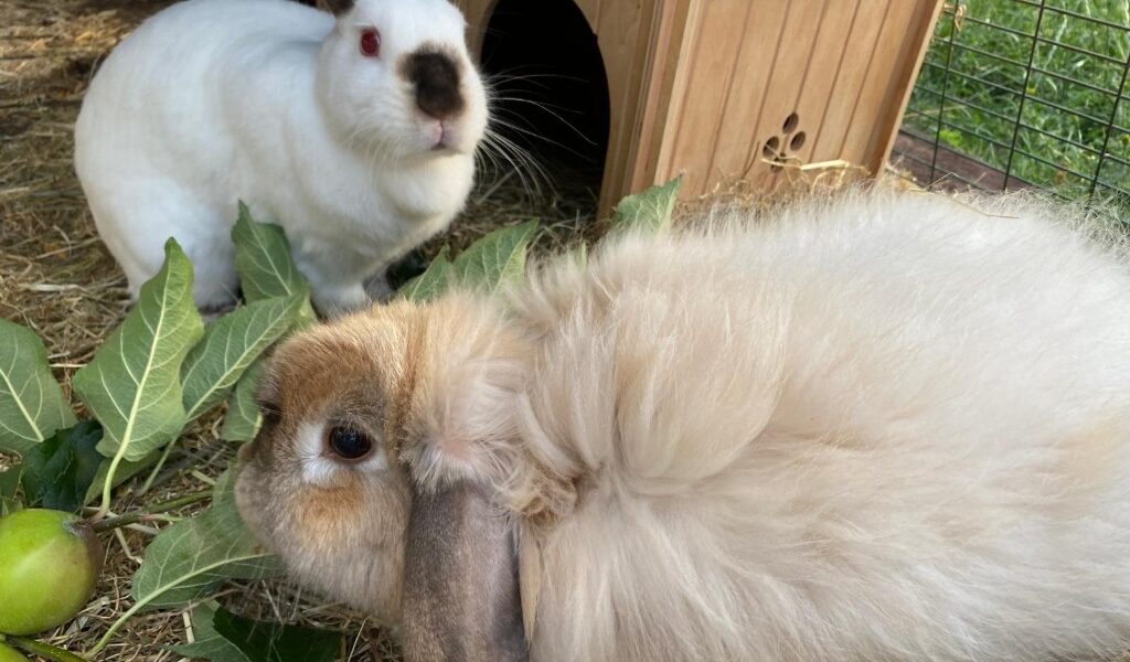 Matty & Penelope